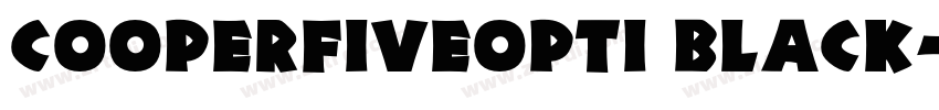 CooperFiveOpti Black字体转换